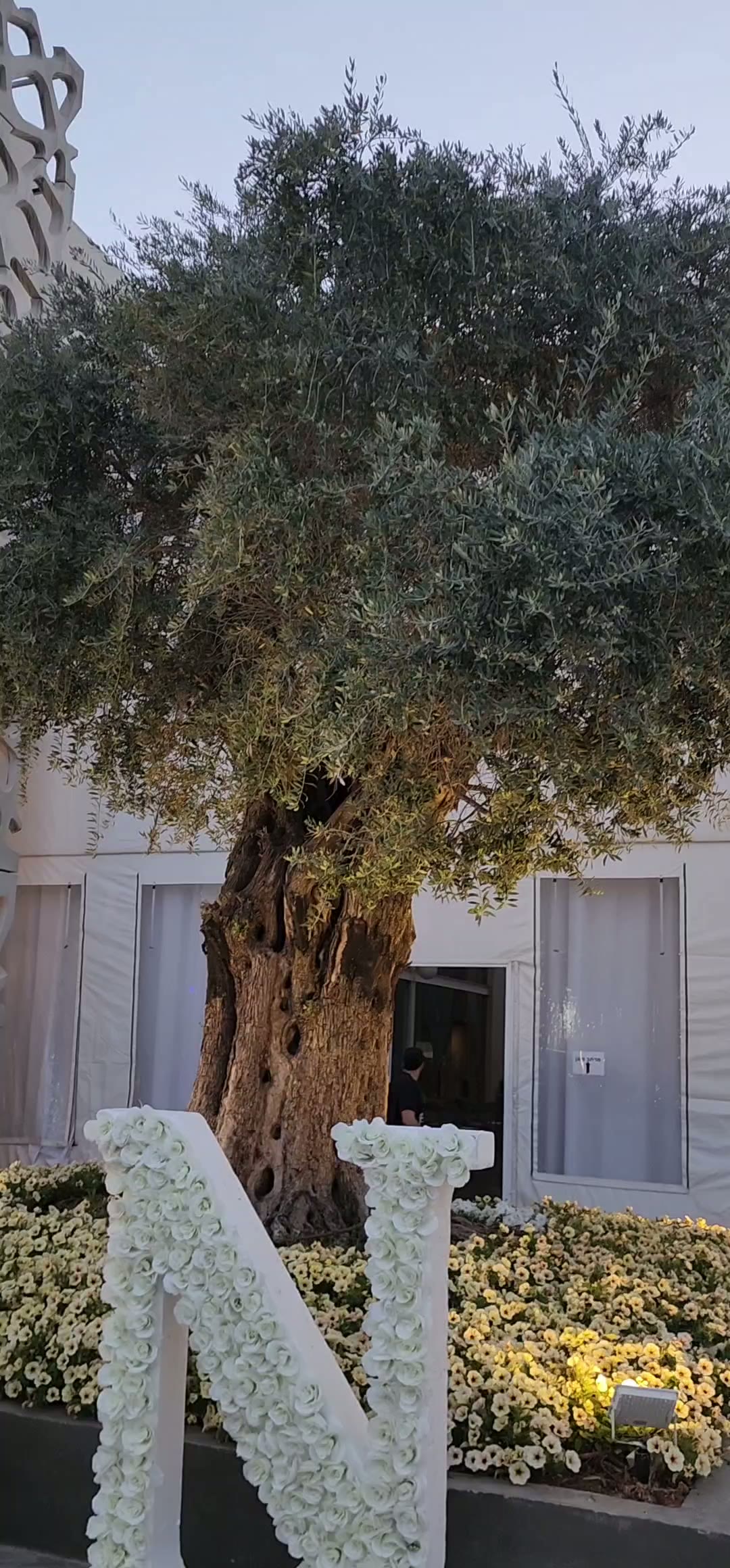 עמדת צילום רטרו מגנטים